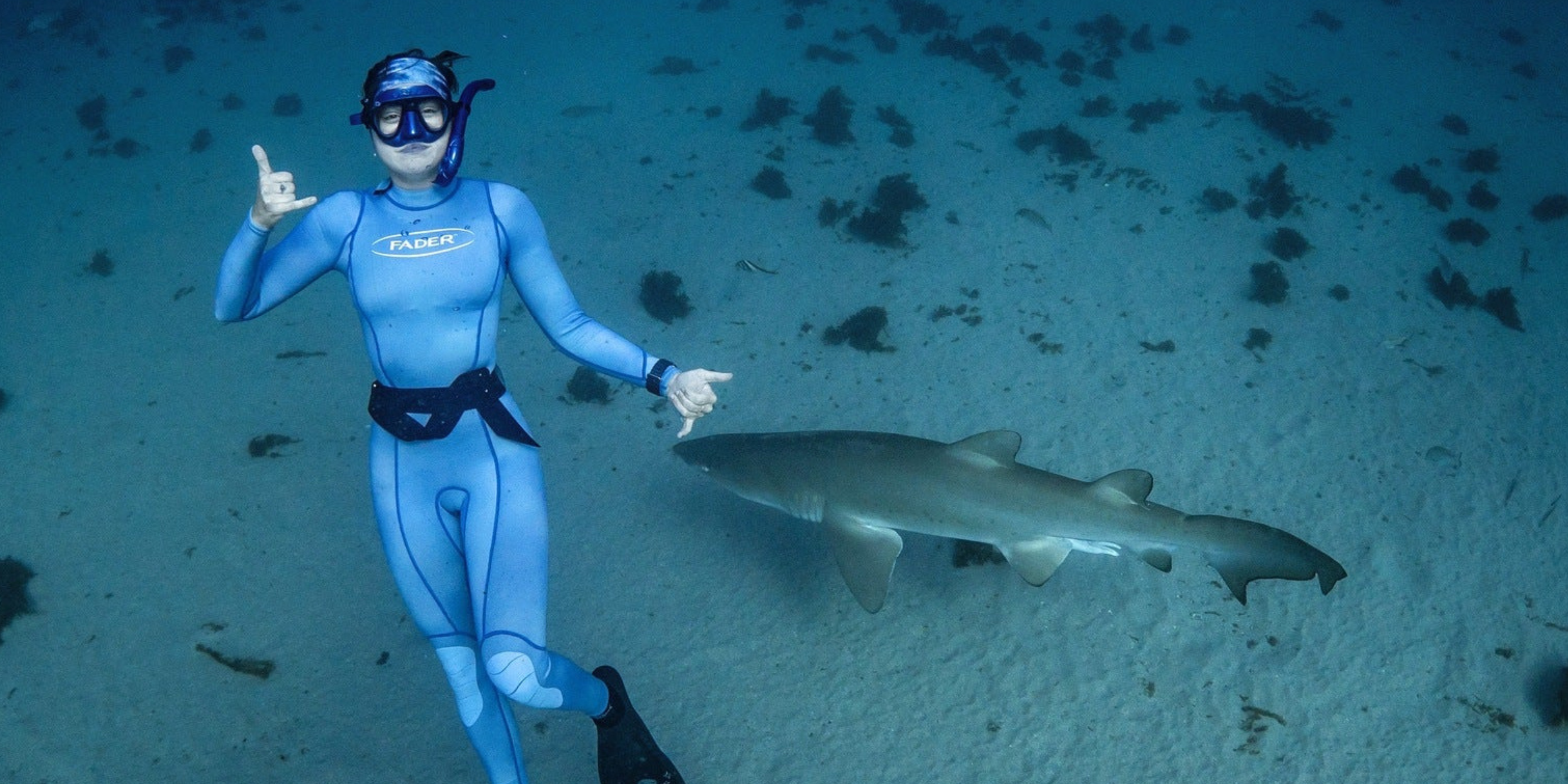 Are Shark Risks Increasing?