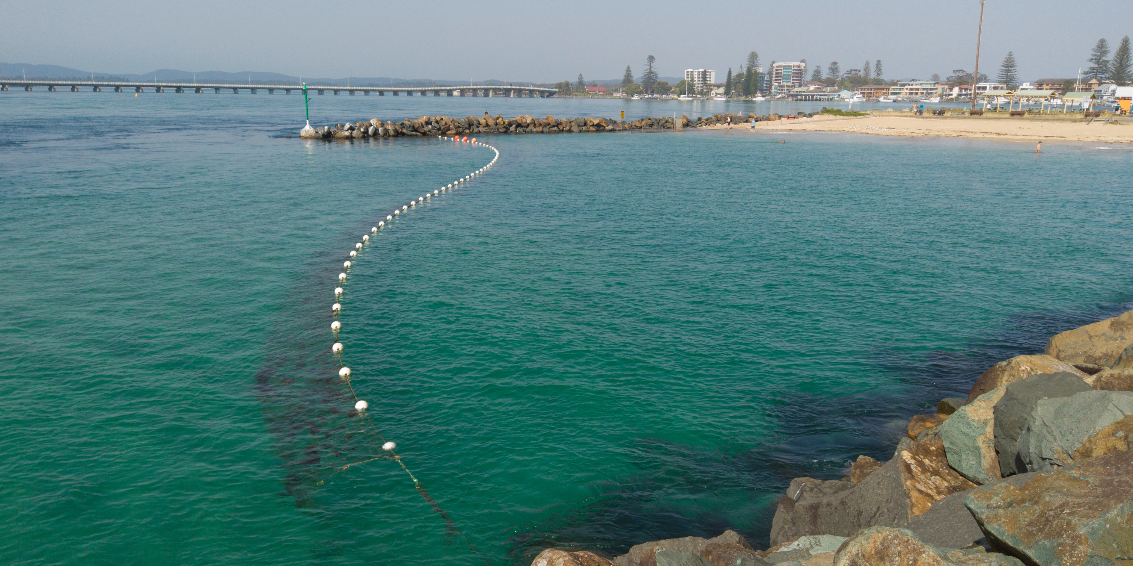 Shark Nets: A False Sense of Security