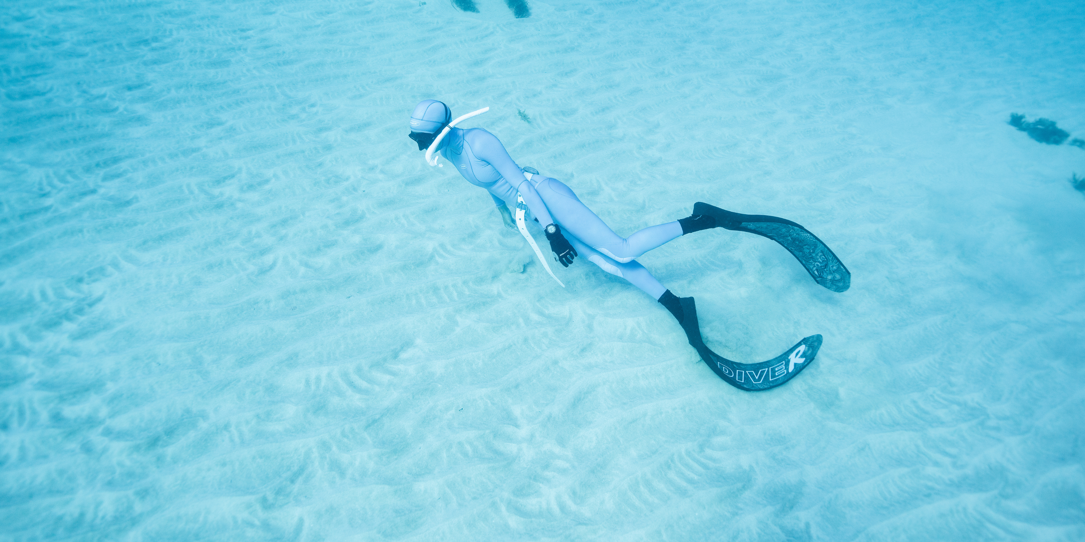 Black Wetsuits vs. Shark Safety: What Science Really Says