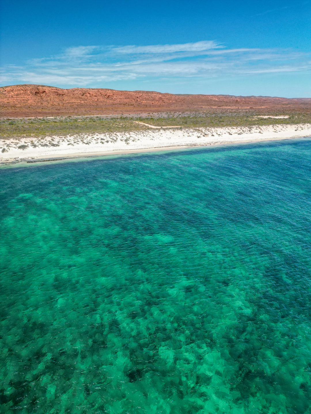 Ningaloo Reef Experience Expedition 2025