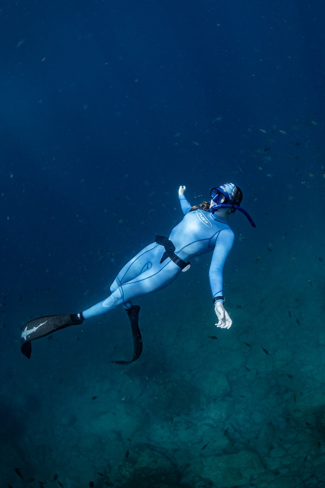 Back-Zip Steamer Wetsuit- 2mm Sapphire Blue